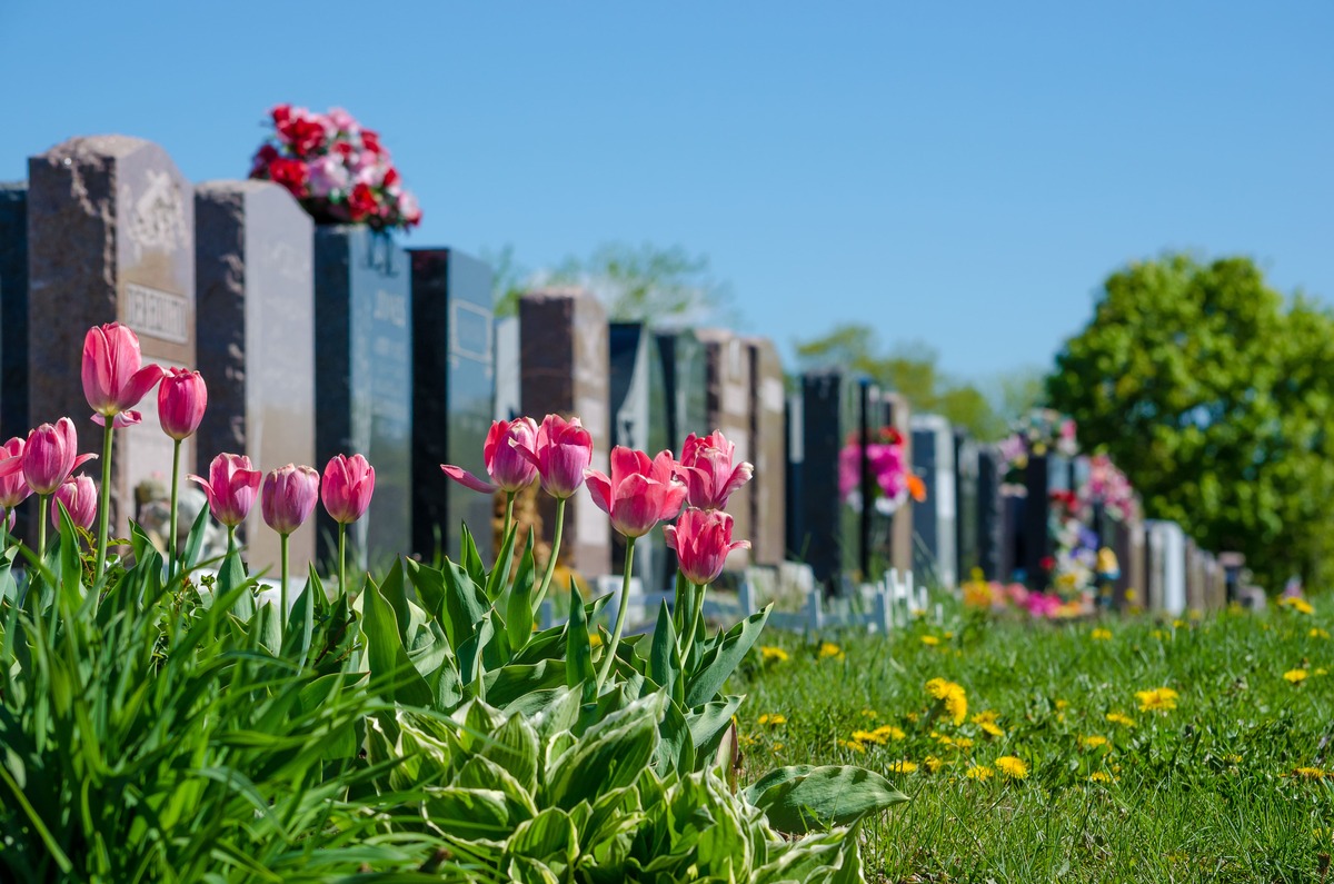 Obituaries - Roberts and Cook Funeral Service